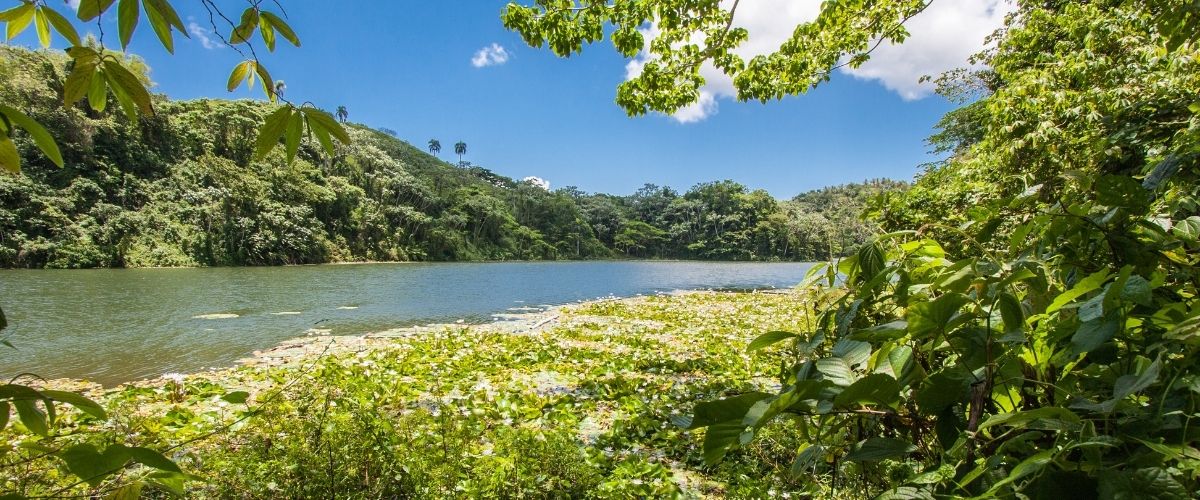 CYBER WEEK 2023 - SAMANÁ